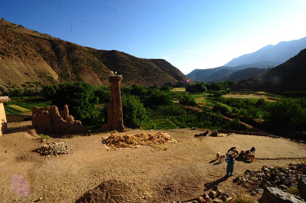 Riad La Fibule Berbere Tabant Exterior foto